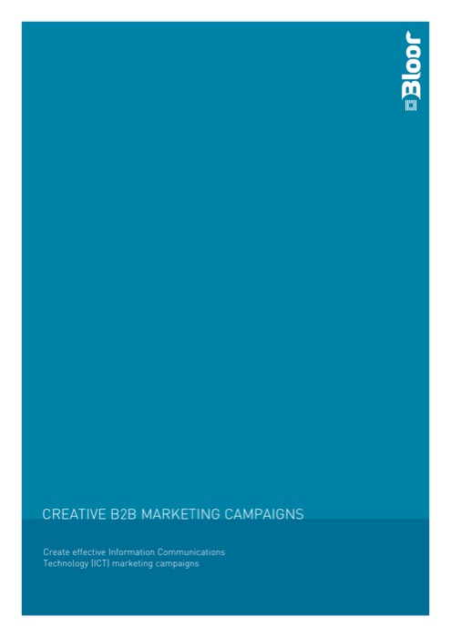 Cover for Creative B2B Marketing Campaigns