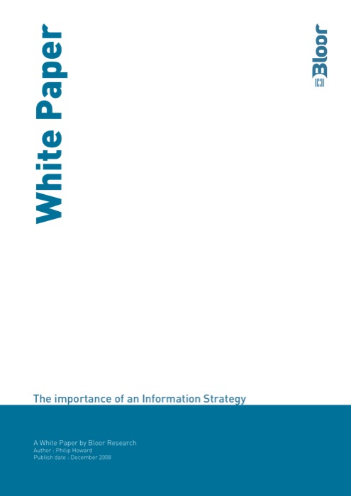 Cover for The importance of an Information Strategy