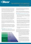 Cover for Spreadsheet management maturity model