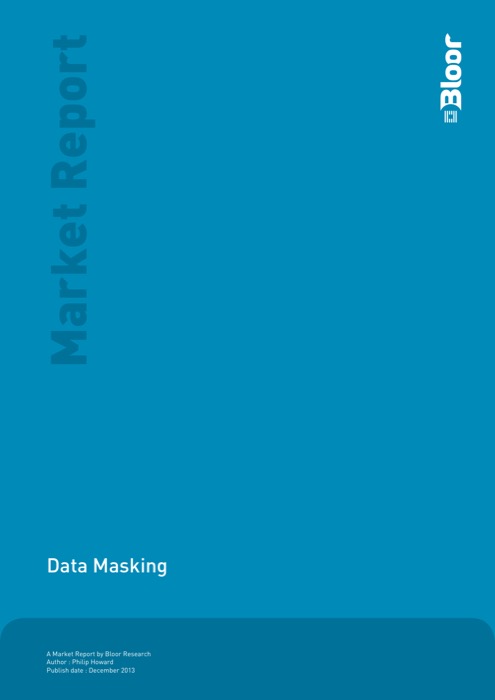 Cover for Data Masking 2013