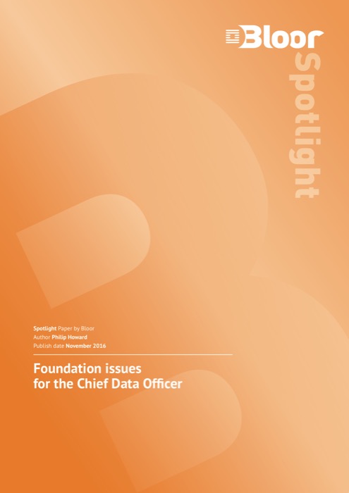 Cover for Foundation issues for the Chief Data Officer