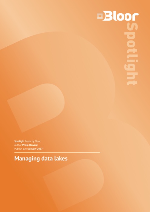 Cover for Managing Data Lakes