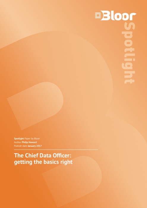 Cover for The Chief Data Officer: getting the basics right