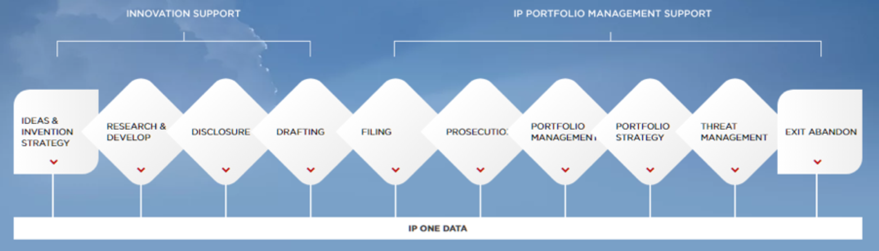Figure 1 – IP Platform portfolio of products