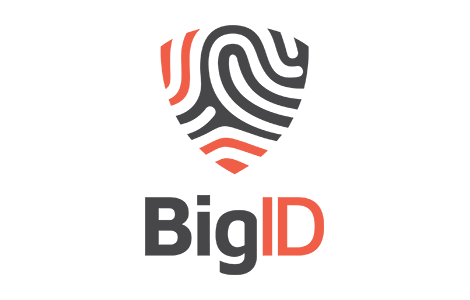 BIG ID logo