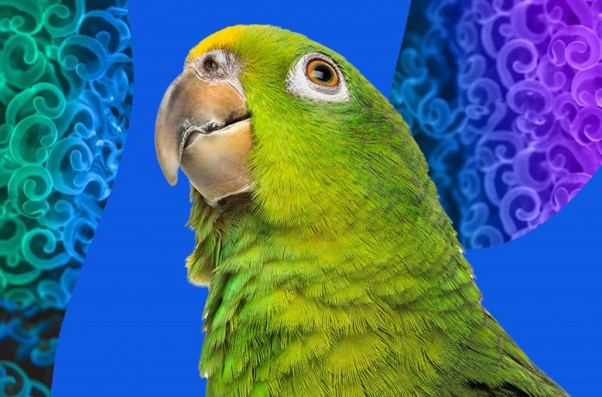 Global Data Excellence update