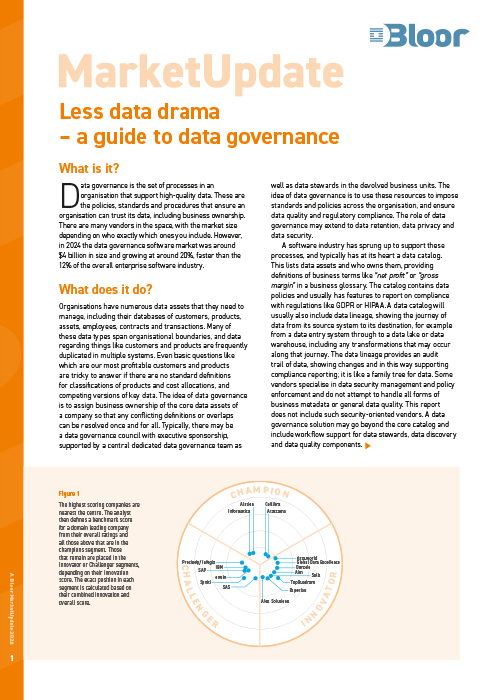 Data Governance (2024)