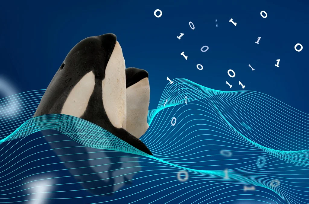 IRI Data Governance