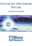 Cover for Enterprise Information Portals