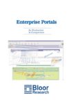 Cover for Enterprise Information Portals