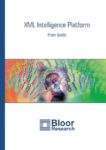 Cover for Ipedo XML Intelligence Platform