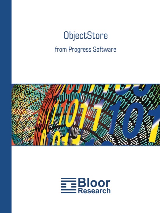 Cover for Progress Objectstore