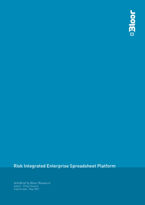 Cover for Risk Integrated Enterprise Spreadsheet Platform