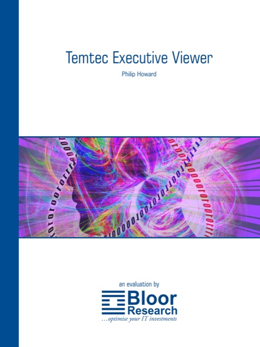 Cover for Temtec Executive Viewer 2006