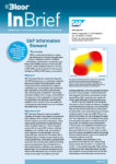 SAP (Data Gov) InBrief cover thumbnail