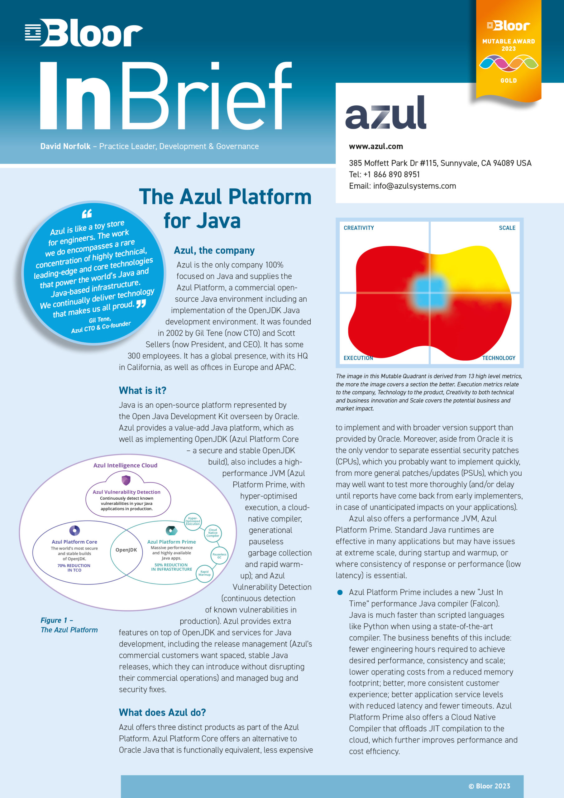 Cover for The Azul Platform for Java
