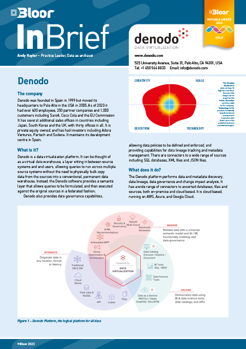 Cover for Denodo and data governance