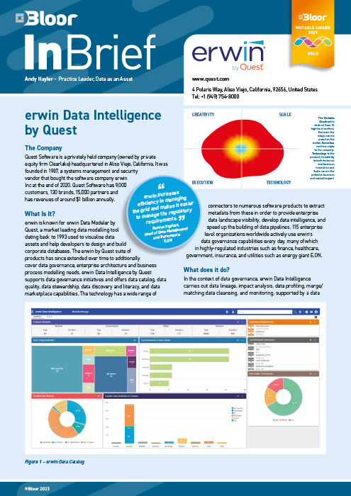Cover for erwin Data Intelligence by Quest