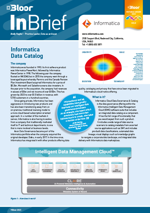 Cover for Informatica Data Catalog