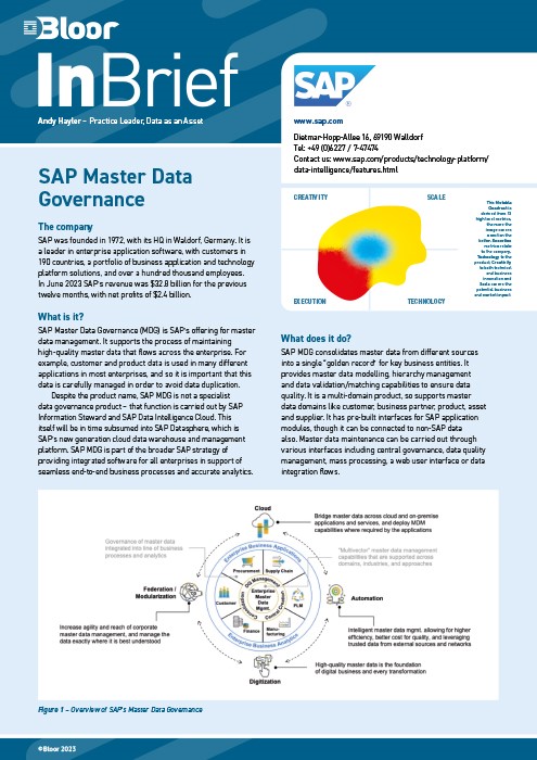 Cover for SAP Master Data Governance