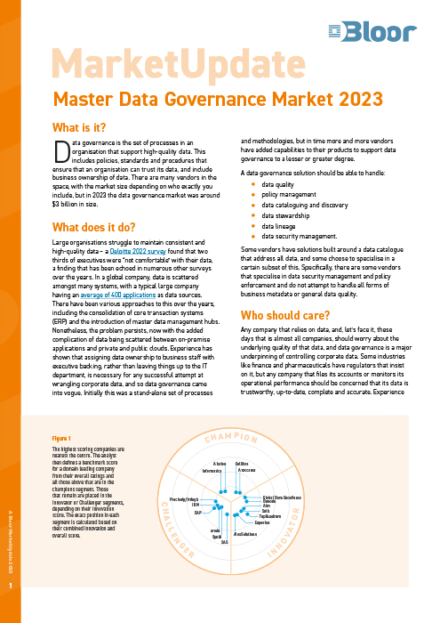 Cover for Master Data Governance (2023)