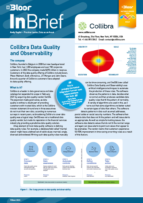 Cover for Collibra Data Quality and Observability