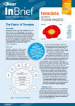 TERADATA Data Fabric InBrief (cover thumb)