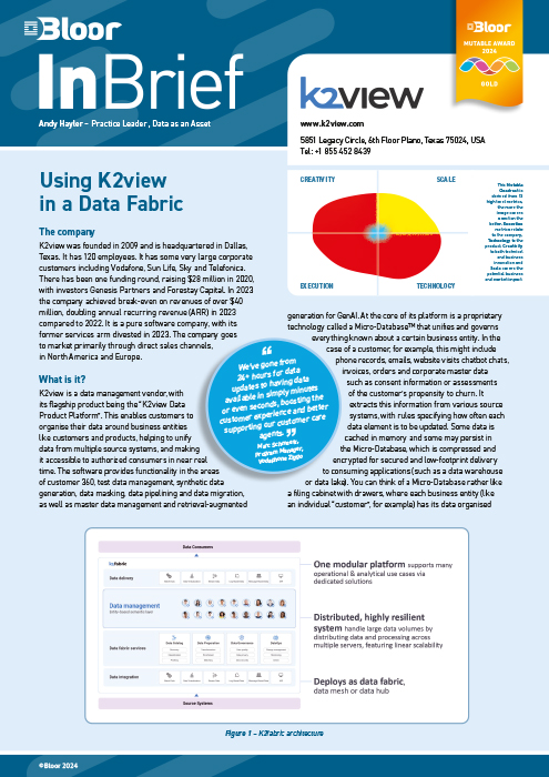 Cover for Using K2View in a Data Fabric