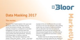Cover for Data Masking 2017