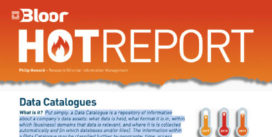 Cover for the Data Catalogues Hot Report