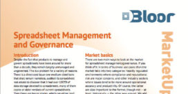 Cover for Spreadsheet Management and Governance