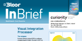 Cover for the Visual Integration Processor InBrief