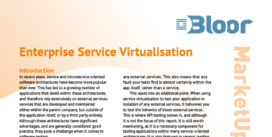 Cover for Enterprise Service Virtualisation