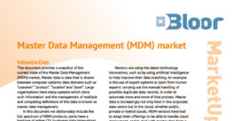 Master Data Management Market Update 2021 (cover thumbnail