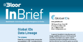 00002712 - GLOBAL IDs inBrief cover thumbnail