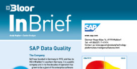 SAP (Data Quality) InBrief cover thumbnail