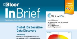 GLOBAL IDs InBrief (cover thumbnail)
