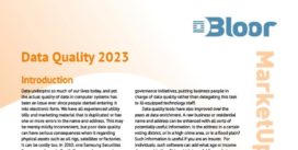 DATA QUALITY Market Update 2023 cover thumbnail