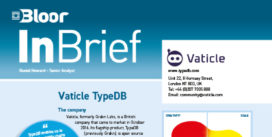 VATICLE TypeDB InBRIEF cover thumbnail