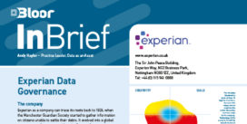 00002803 - EXPERIAN InBRIEF (cover thumbnail)