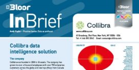 COLLIBRA data intelligence solution InBrief cover thumbnail
