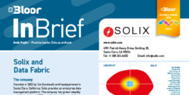 SOLIX Data Fabric InBrief (Feb 2024)