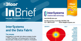 INTERSYSTEMS InBrief cover thumbnail