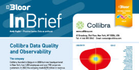 00002828 - COLLIBRA Data Quality and Obs InBrief (cover thumbnail)