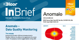 ANOMALO Data Quality InBrief (cover thumbnail)
