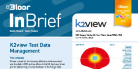 K2view InBrief (April 2024 cover thumbnail)