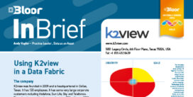 K2view Data Fabric InBrief (April 2024 cover thumbnail)