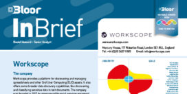 WORKSCOPE InBrief (cover thumb)